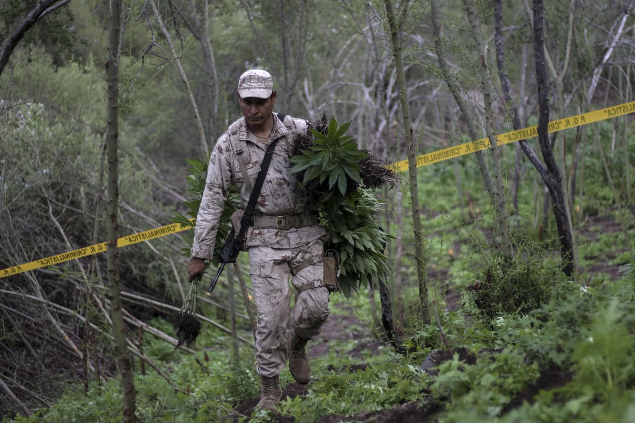 <b>Puesto 17. Ensenada, Baja California, México. 52,12 homicidios por cada 1,000 habitantes en 2019.</b> Esta ciudad de 527,000 habitantes tuvo 275 homicidios en 2019. 
<br>