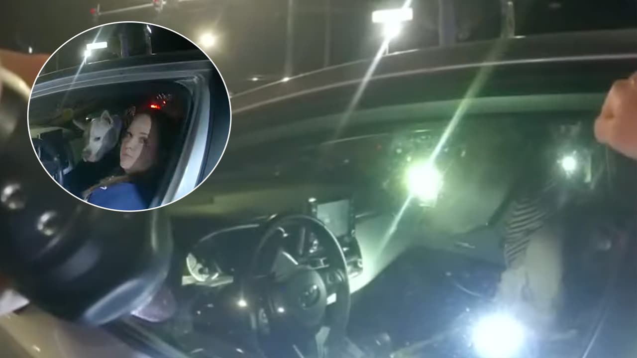 Acusan a policía de Florida de conducir borracha tras encontrarla dormida al volante en un semáforo
