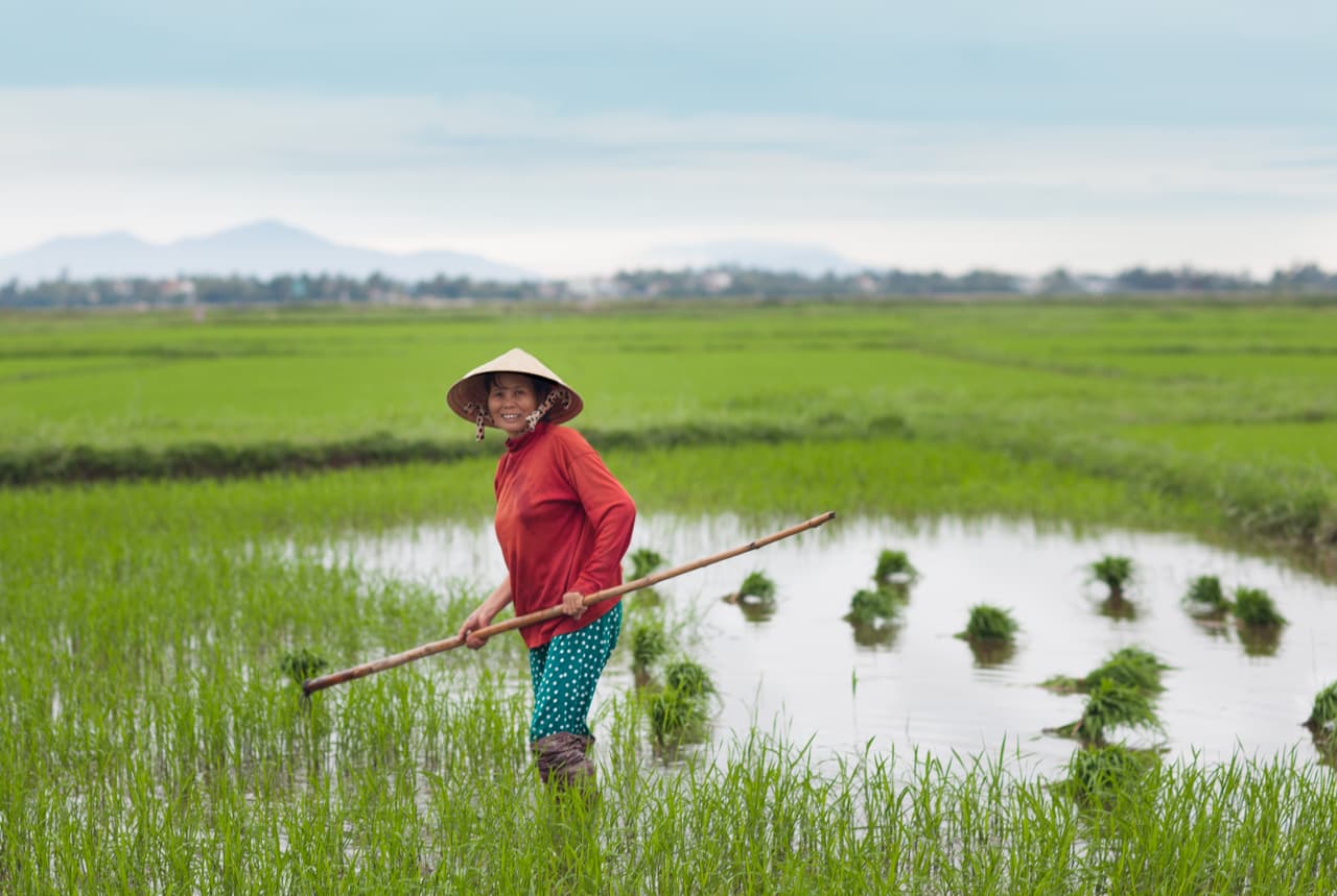 Bian - Hoi An, 
<a href="http://www.questforbeauty.co/vietnam#1">Vietnam</a>, enero 2016.