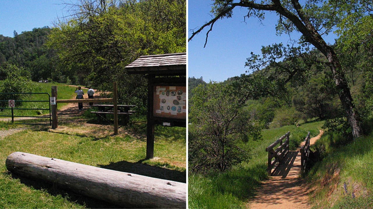 Si quieres escapar un poco más lejos, a unas 65 millas de 
<b>Sacramento</b> se encuentra el 
<b>Parque estatal del sur del río Yuba. </b>
<br>
<br>El parque tiene múltiples senderos que llevan a sitios históricos de minas de los tiempos de la fiebre del oro en California. A esto le agregas un impresionante paisaje del cañón y el río. 
<br>
<br>El camino por 
<b>Buttermilk Bend Trail</b> es el más popular. Tiene 2.4 millas y toma menos de una hora en completar ida y vuelta. Y si quedas con ganas de más, tienen otras opciones cortas para explorar perfectas para toda la familia debido a que la mayoría son de fácil acceso.
<br>
<br>Si quieres un reto mayor, puedes pedir direcciones de las rutas más largas a los guardaparques en el Centro de Visitantes. Abren todos los días desde el amanecer hasta el atardecer.
<br>
<br>
<b>Dirección:</b> 
<a href="https://www.google.com/maps/place/South+Yuba+River+State+Park/@39.2927268,-121.1935665,15z/data=!4m5!3m4!1s0x0:0x690e341c26b9349f!8m2!3d39.2927268!4d-121.1935665" target="_blank">17660 Pleasant Valley Rd, Penn Valley, CA 95946</a>
<br>
<br>Para cualquier información adicional sobre los Parques Estatales de California, puedes llamar al (916) 653-6995.