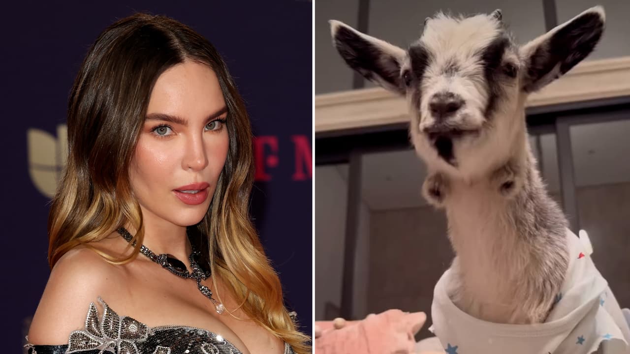 Belinda presenta a la exótica y nueva integrante de su familia: video genera polémica