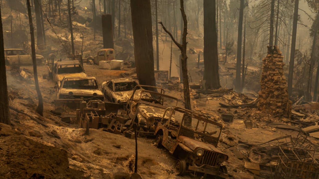 El gobernador de California, Gavin Newsom, señaló que en el estado se están experimentando condiciones climáticas que no se esperaban hasta dentro de 20 o 30 años. El incendio llamado South Fire ha consumido más de 500 acres en menos de 24 horas, obligando a la evacuación de familias y animales. Por su parte, el Dixie Fire ha quemado casi un millón de acres en 42 días. 
<b><a href="https://www.univision.com/noticias" target="_blank">Más noticias aquí</a>. </b>