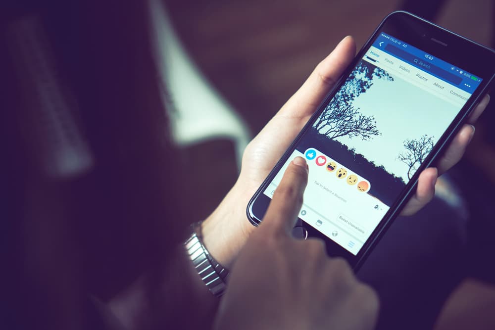 No vayas a comentar cosas en redes sociales como Facebook que luego se vuelvan contra a ti. Recuerda que lo que escribas en textos, whatsapp o redes, se queda archivado y puede volverse contra ti. Debes cuidarte de eso. No te dejes manipular por influencias externas.
<br>