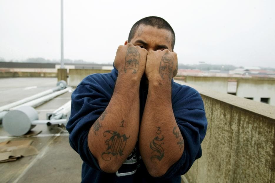 Miembro de la MS-13 de Maryland se declara culpable de 2 asesinatos y lavado de dinero