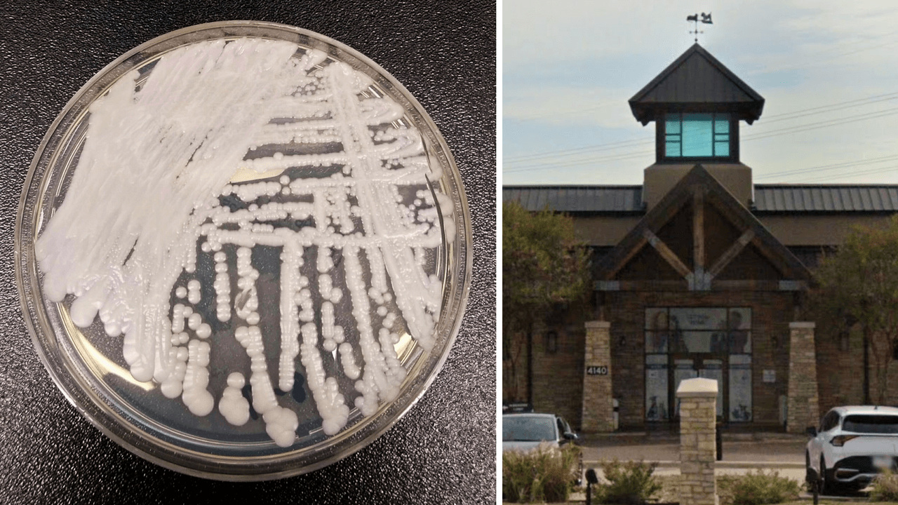Cierran el Servicio de Animales de Irving por una contaminación de bacteria