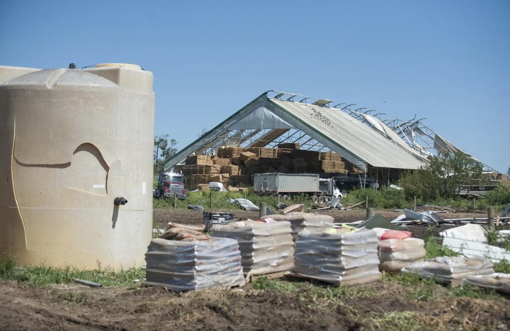 Un GoFundMe iniciado por el compañero agricultor Hillary Stecher alcanzó 60,000 dólares en la mañana del lunes. El objetivo es alcanzar un millón de dólares. La granja tiene seguro, por supuesto, pero Eachus dice que no tiene idea de si cubrirá lo que perdieron.