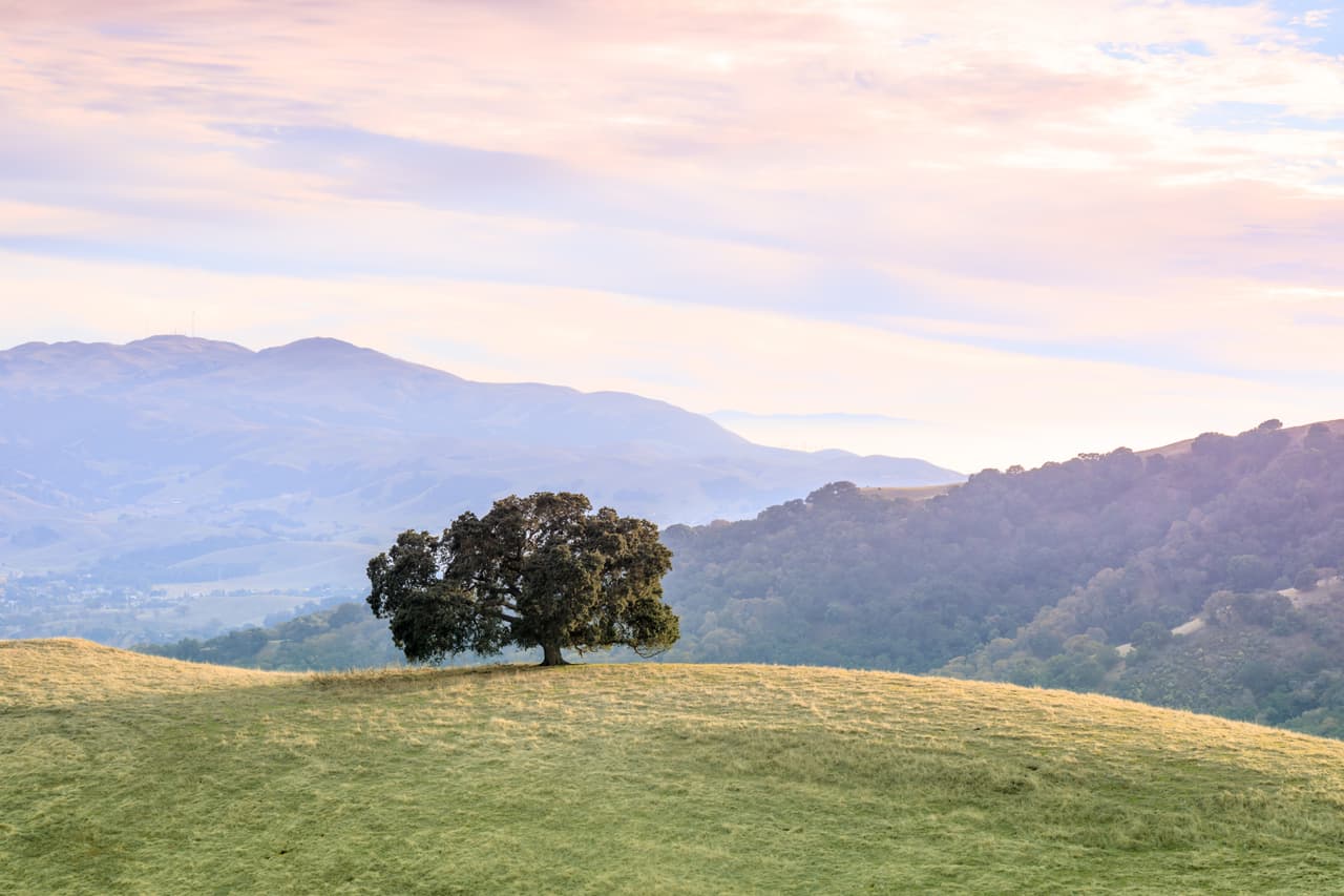 <h3 class="cms-H3-H3">7. Pleasanton, California</h3>
<br>
<br>👉
<b> Población de origen extranjero (2020): </b>32.8% (+5.9% desde 2016)
<br>
<br>👉 
<b>Mayor grupo de inmigrantes: </b>hindúes.
<br>
<br>👉 
<b>Otros grupos de inmigrantes: </b>chinos, coreanos, mexicanos.
<br>
<br>👉
<b> Población total: </b>79,975 habitantes.
<br>