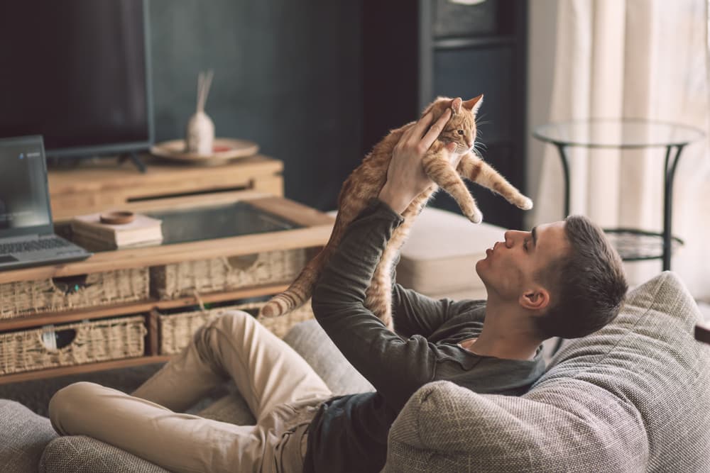 <h3 class="cms-H3-H3">Aspectos positivos de Libra</h3>
<br>Diplomático y circunspecto, elegante, educado, romántico y encantador, fácil de tratar, sociable, idealista, amante de la paz, justo y equitativo, amante de la belleza y la armonía. 
<br>