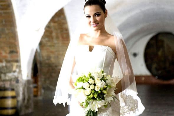 Maite Perroni protagonizó 'Triunfo del amor' en 2010, bajo la producción de Salvador Mejía.
