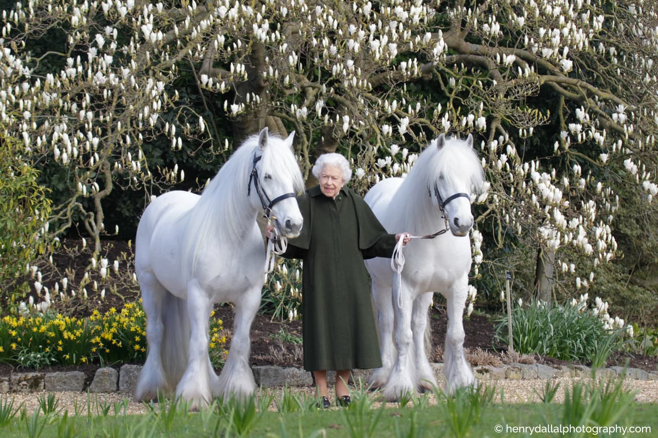 La imagen más reciente de la monarca es la que publicó la Casa Real en la víspera de su cumpleaños. Se tomó el mes pasado en los jardines del Castillo de Windsor y es 
<b>un posado de la reina con dos de sus ponies, Bybeck Katie y Bybeck</b> Nightingale.