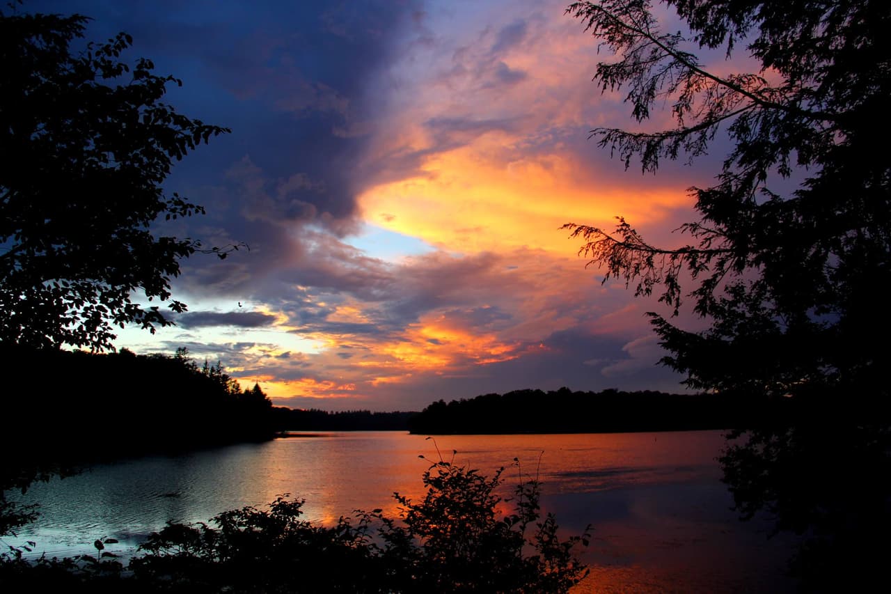<b><a href="https://www.dcnr.pa.gov/StateParks/FindAPark/PromisedLandStatePark/Pages/default.aspx">Promised Land State Park</a></b>: Ubicado en Pocono Plateau, a 1,800 pies sobre el nivel del mar, el parque está rodeado por 12,464 acres del pintoresco Delaware State Forest de Pensilvania. Los visitantes disfrutan de acampar, pescar y navegar en dos lagos, nadar en los meses de verano y explorar 50 millas de senderos para caminatas a través de las áreas circundantes ricas en significado histórico y belleza escénica, así como cascadas.
