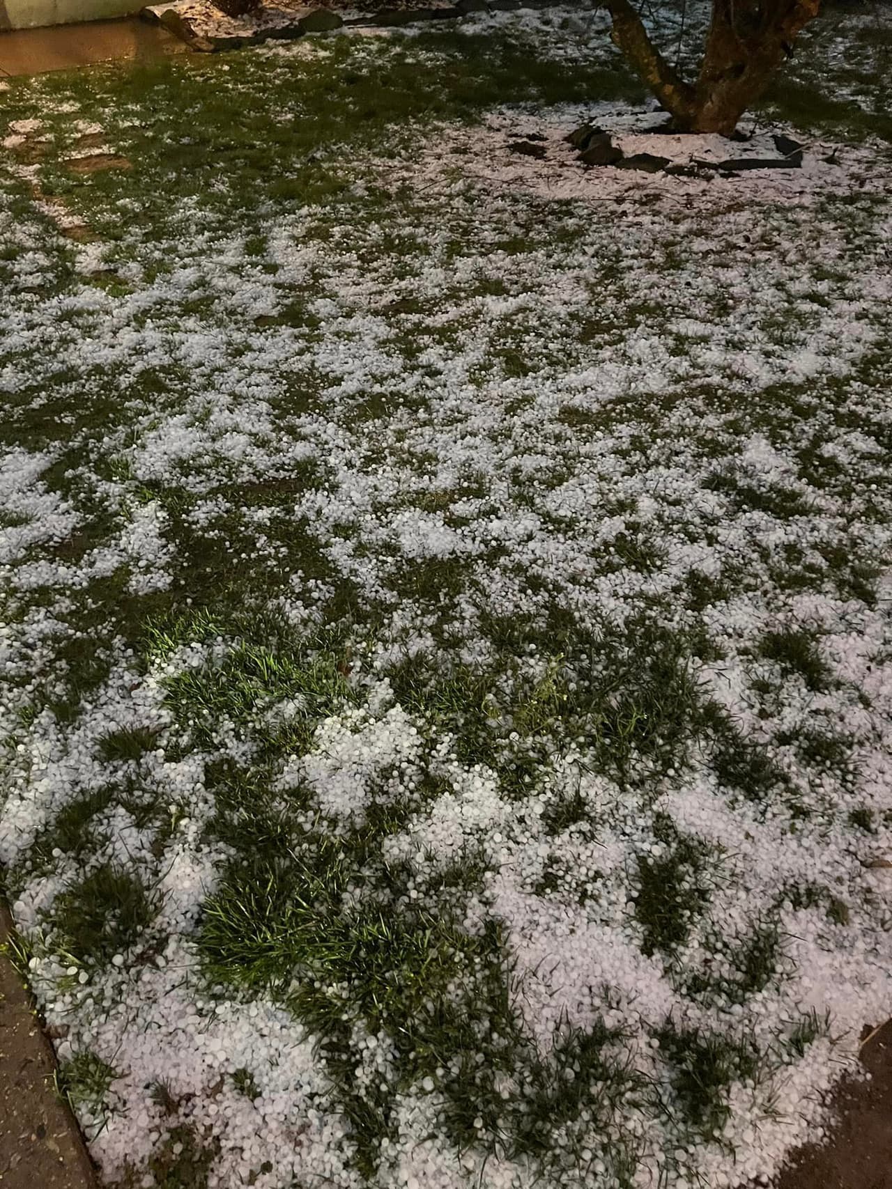 Esta foto fue enviada por un residente en la sección de 
<b>Andorra</b> en el vecindario de Roxborough en Filadelfia.
