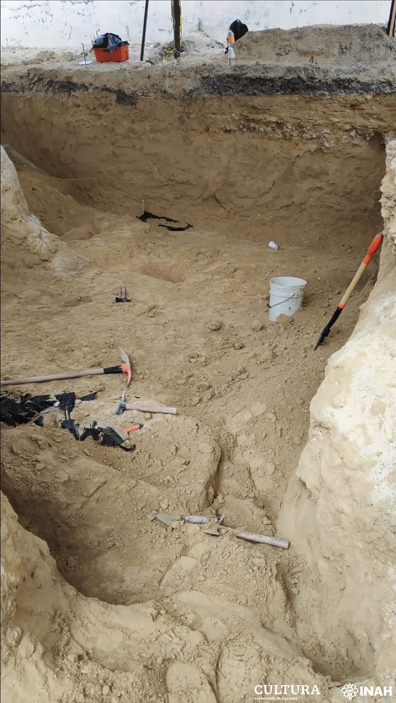 En el lugar donde ahora se construye el nuevo aeropuerto de la Ciudad de México, municipio de Zumpango, Estado de México, también se han encontrado decenas de esqueletos de mamuts, camellos, caballos y bisontes. 
<br>
<br>Es el descubrimiento paleontológico más importante en América Latina por concentración de individuos, en pleno centro de México. 
<br>