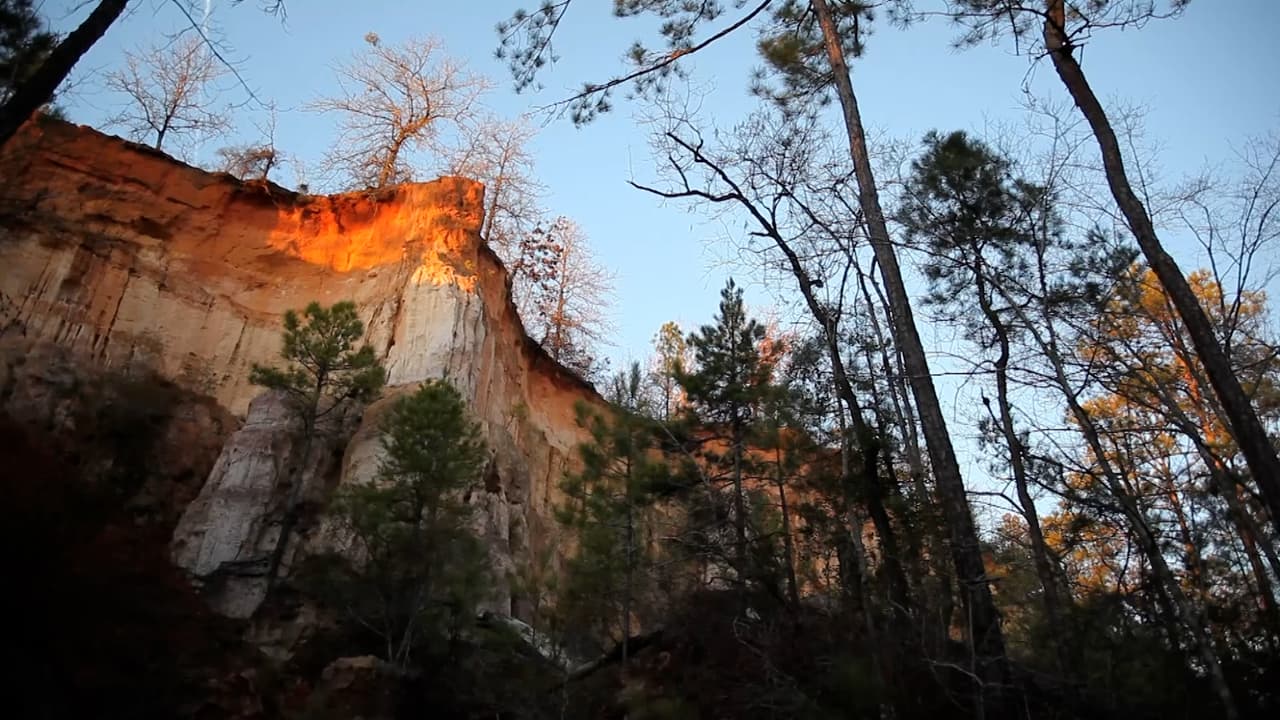Conoce más sobre Providence Canyon, 
<b><a href="https://www.univision.com/local/atlanta-wuvg/maravilla-natural-de-georgia-que-sin-duda-debes-visitar-este-2023-fotos">aquí</a></b>.