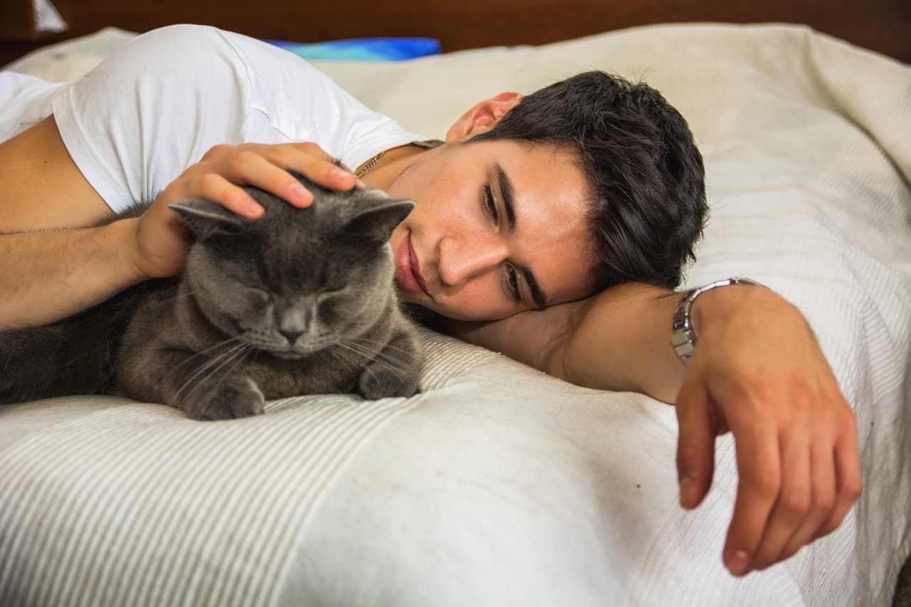Sin embargo, las creencias no son sólo cosas del pasado. Aún hoy en día la humanidad tiene ciertos pensamientos respecto a los gatitos.