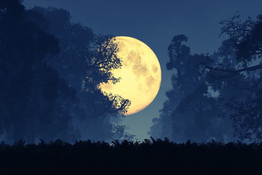 Durante el mes sinódico, se va desplazando por los signos zodiacales donde dura aproximadamente dos días y así, tiñe cada uno con su energía. Veamos de qué manera.
<br>