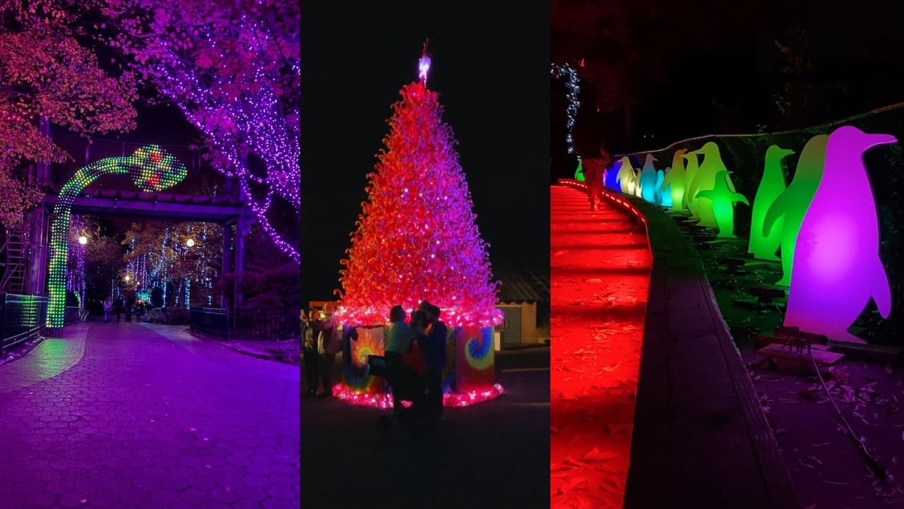 <b><a href="https://www.univision.com/local/philadelphia-wuvp/luminature-millon-luces-navidenas-transforman-zoologico-filadelfia-fotos">LumiNature</a>,</b> el zoológico de Filadelfia, se transforma en un país de las maravillas de las luces navideñas este invierno, con iluminaciones y decoraciones de animales a gran escala. La exhibición, que requiere más de 1 millón de luces y 10 millas de cables de alimentación, está abierta desde el 18 de noviembre hasta el 9 de enero.