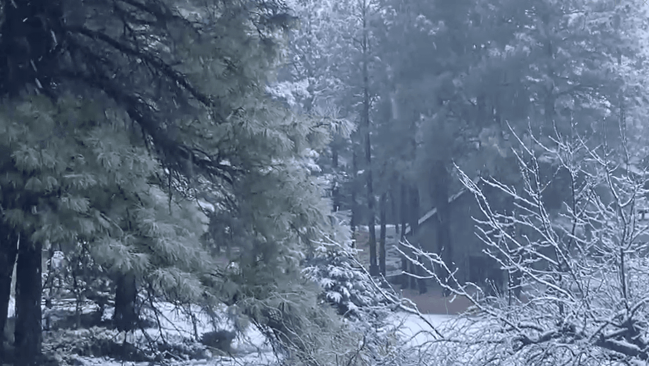 La región norte del estado ha tenido 
<b>ráfagas de viento y caída de nieve</b>.