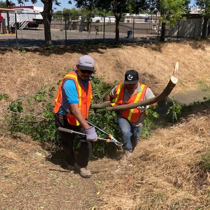 Miembros de 
<b><a href="https://www.facebook.com/enpfresno" target="_blank">Every Neighborhood Partnership</a> </b>limpiaron el estanque ubicado detrás de los Boys & Girls Clubs y la subestación de policía en Cedar con Butler.