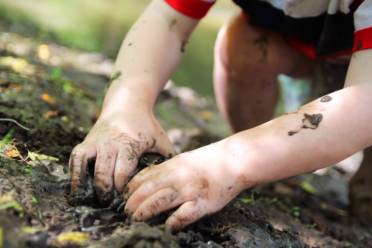 <b>La adicción a la pantalla comienza pronto</b>
<br>Louv, que también es autor del superventas 
<a href="http://richardlouv.com/">Los últimos niños en los bosques: salvar a nuestros hijos del trastorno de déficit de naturaleza</a>, está preocupado por la adicción temprana a las pantallas, lo que supone que haya un 
<a href="http://www.abc.net.au/radionational/programs/lifematters/nature-deficit-disorder/2963804">montón de energía bloqueando nuestros sentidos</a>. “Esto, para mí, es 
<b>la definición de estar menos vivos</b>. No creo que nadie quiera que sus hijos estén menos vivos".