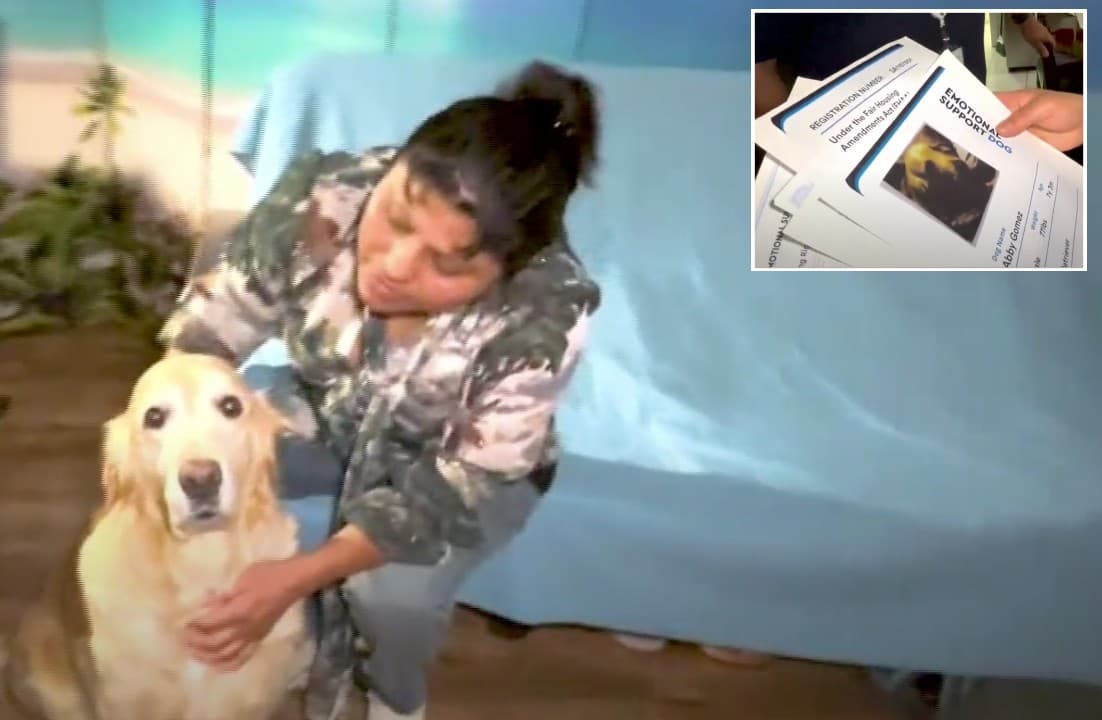 Sonia Gómez se queda con Abby, la historia de un desalojo tronchado en Los Ángeles 