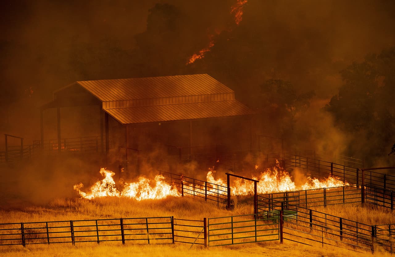 A principios de julio, las autoridades dijeron que una valla de ganado eléctrica instalada incorrectamente desató un indencio que duró más de una semana y destruyó 20 estructuras en el norte de California. El incendio en los condados de Yolo y Napa está fue contenido después de carbonizar 141 millas cuadradas.