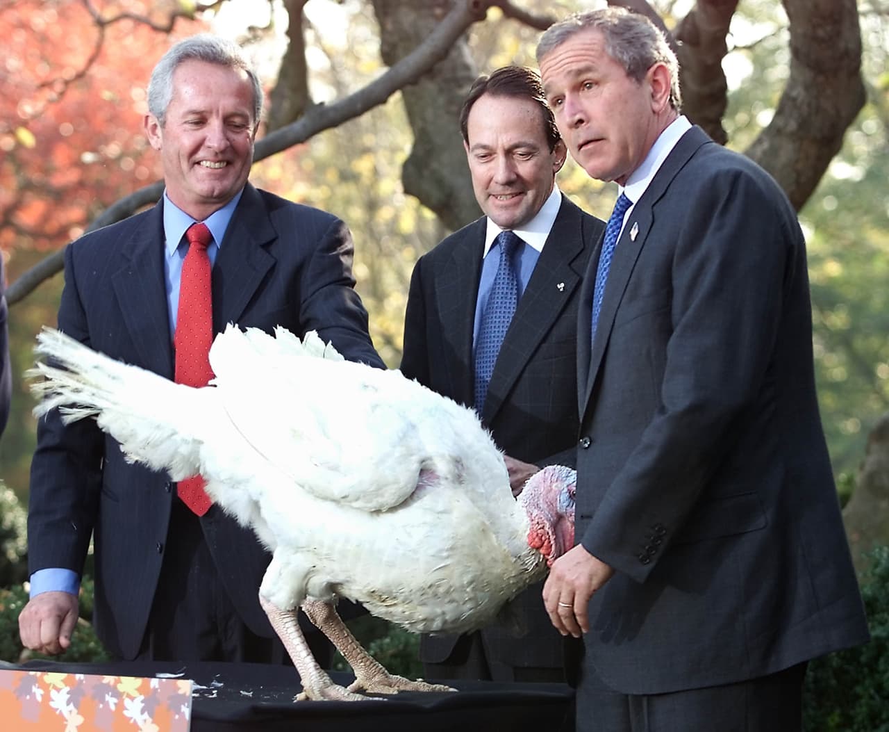 El primer pavo indultado por 
<b>George W. Bush</b> se llamó 'Libertad', en 2001.