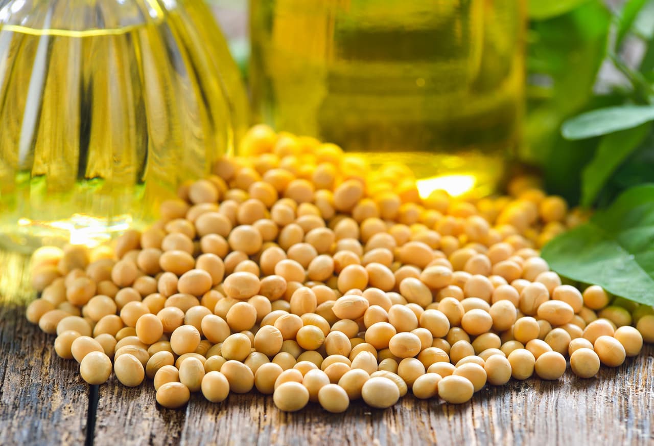 <b>Puesto 12. Aceite de soya</b>
<br>
<br>Emisión de gases de efecto invernadero para producir un kilogramo de producto: 6.3 kilogramos de CO2.
<br>
<br>Tierra necesaria para producir un kilogramo de producto: 10.5 metros cuadrados.
<br>
<br>Agua dulce necesaria para producir un kilogramo de producto: 414.6 litros.
<br>
