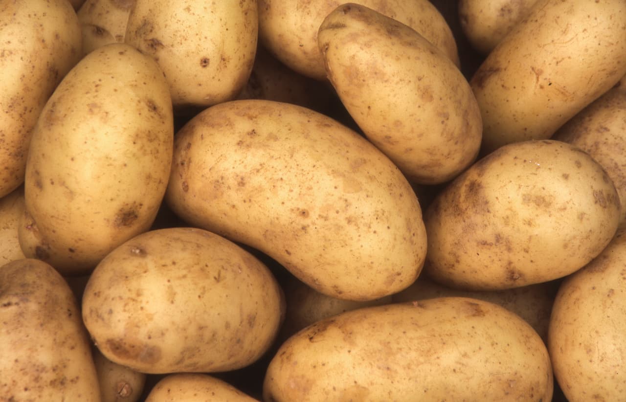 <h3 class="cms-H3-H3">20. Papas</h3>
<br>
<br>💸
<b> Incremento de precios, de septiembre de 2021 a septiembre de 2022: </b>+17.5%
<br>