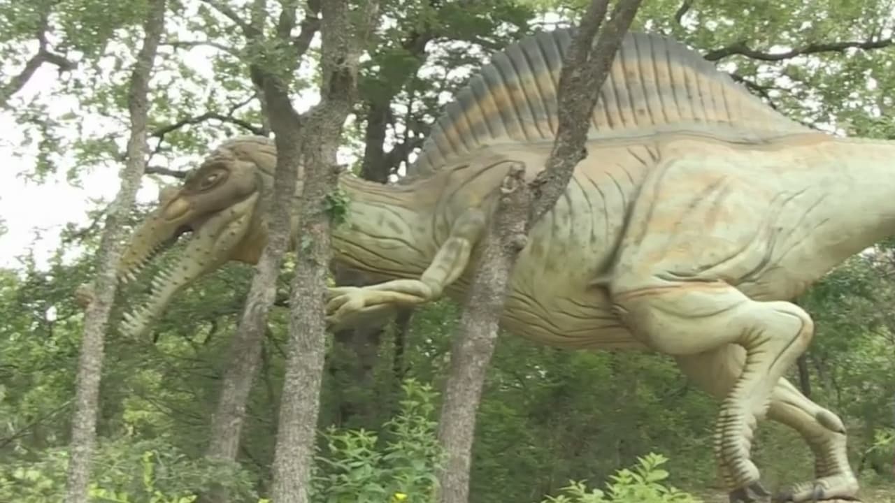 <b>EN VIDEO: así es el museo al aire libre.</b>
<br>