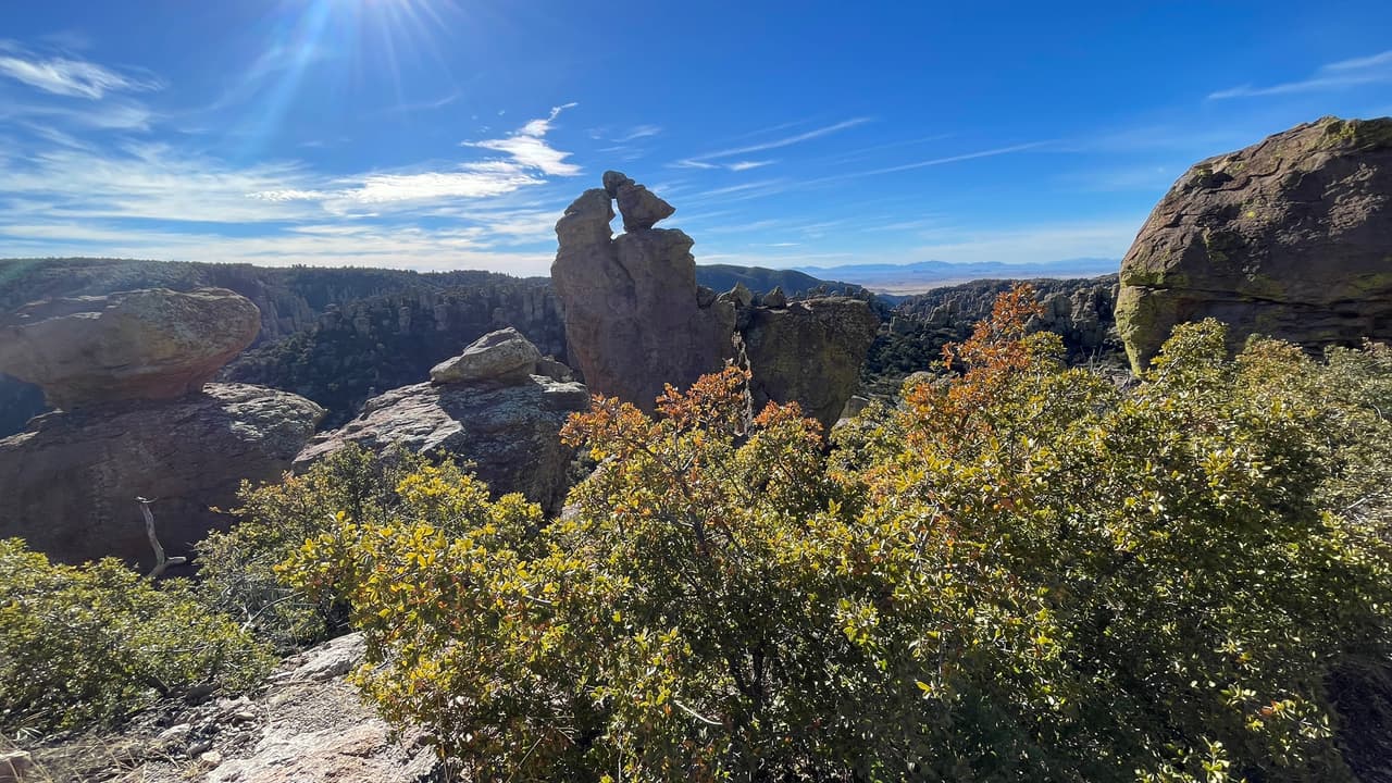 En el lugar puedes encontrar un centro de visitantes ubicado a dos millas de la entrada al Monumento Nacional Chiricahua. El centro de visitantes tiene exhibiciones relacionadas con la geología, la historia natural y la historia cultural del área.