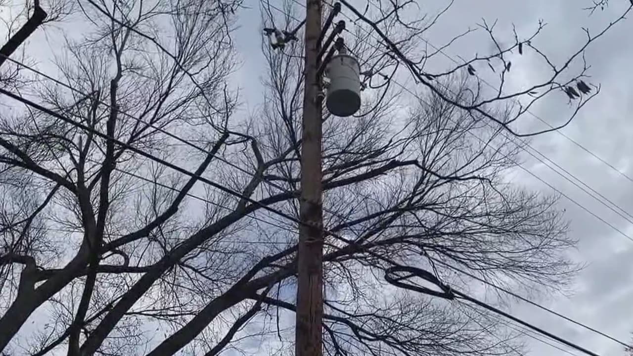 Se prevén fuertes vientos en Austin por lo que la ciudad pide tomar precauciones para evitar más daños a los ya causados por la tormenta invernal y recomienda, entre otras cosas, no estacionar tu auto debajo de los árboles y cortar las ramas que puedan ser un peligro.