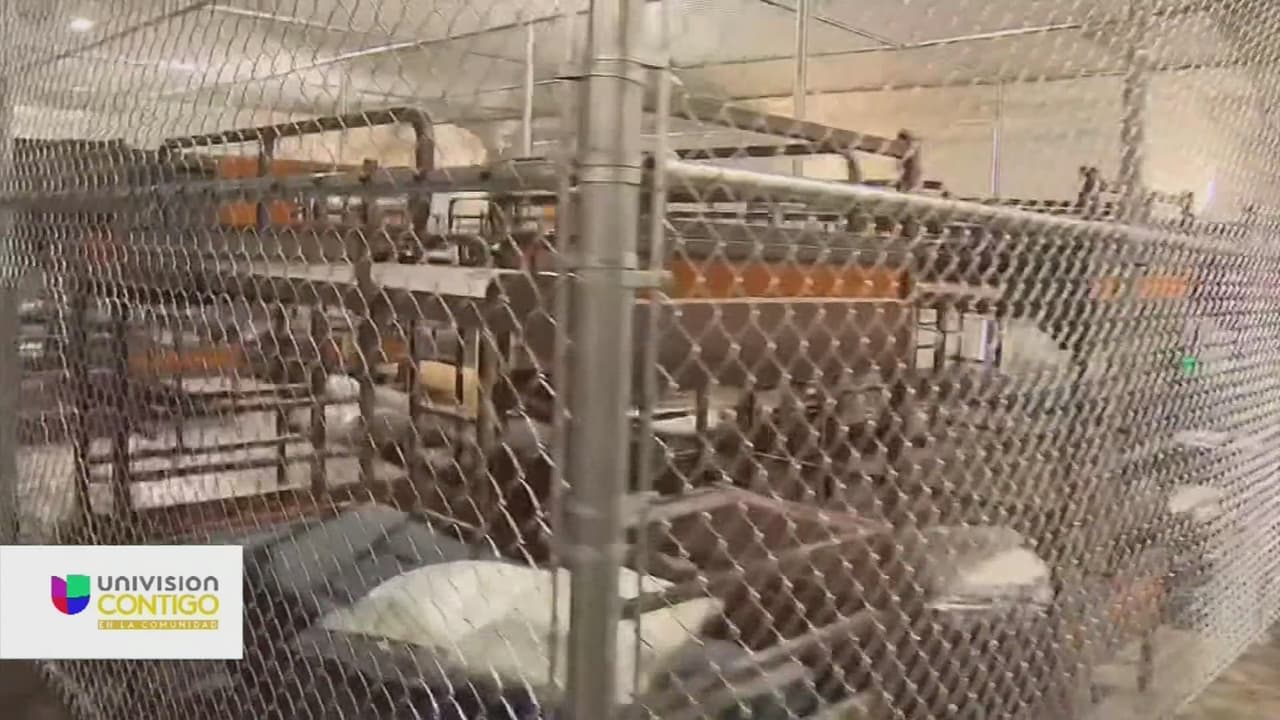 Inmigración al día: respuestas con un abogado