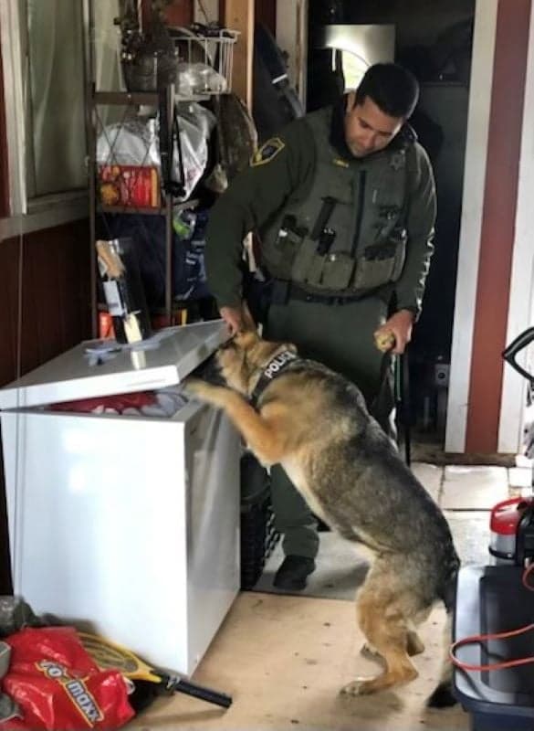 El Departamento de Pesca y Vida Silvestre de California (CDFW) arrestó a ocho personas acusadas de crímenes relacionadas con la 
<b>caza y distribución ilegal de animales</b>, así como la posesión ilegal de 
<b>narcóticos, armas y dinero falso</b>. Una novena persona fue arrestada por 
<b>vender cangrejo y abulón en el mercado ilegal</b>.