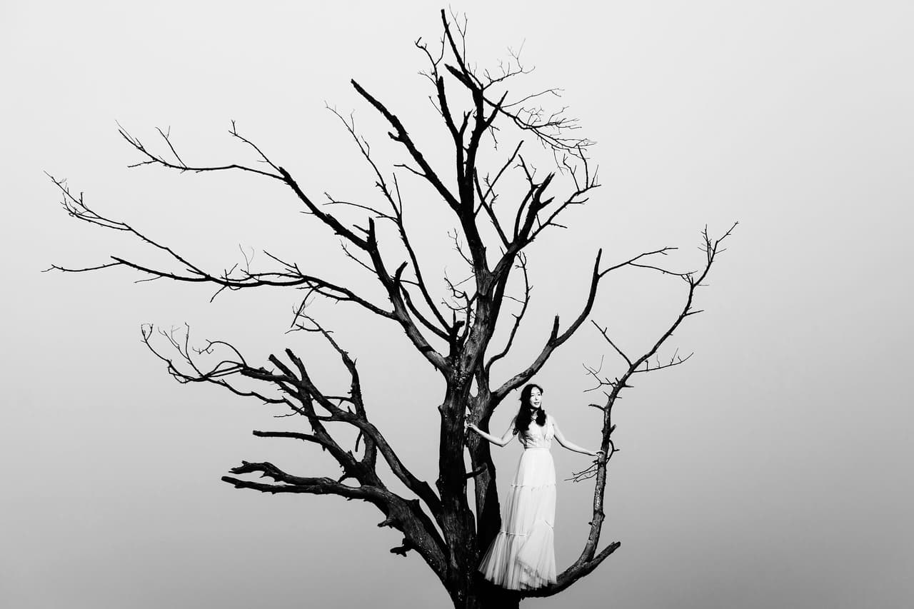 Esta imágen ganó en la categoría ‘compromiso/no boda’. “En camino a la costa donde queríamos hacer los retratos nos encontramos con nubes y niebla. 
<br>
<br>Cambiamos de opinión, nos detuvimos en la montaña, y por suerte encontramos este árbol”, 
<a href="https://www.instagram.com/ruanredelinghuys"><u>explicó el autor</u></a> de la imágen. 
<br>