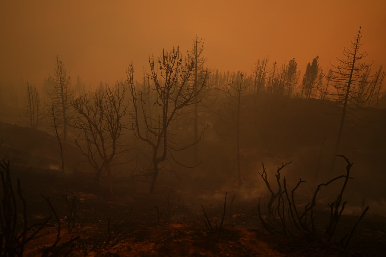 El primer incendio de estos tres últimos en comenzar fue el Line, inició el 5 de septiembre en el Bosque Nacional de San Bernardino, ubicado en el condado con el mismo nombre. Hasta la tarde del 12 de septiembre, ha quemado 37,207 acres y lleva el 18% de contención. El fuego fue provocado y hay un detenido por ello.