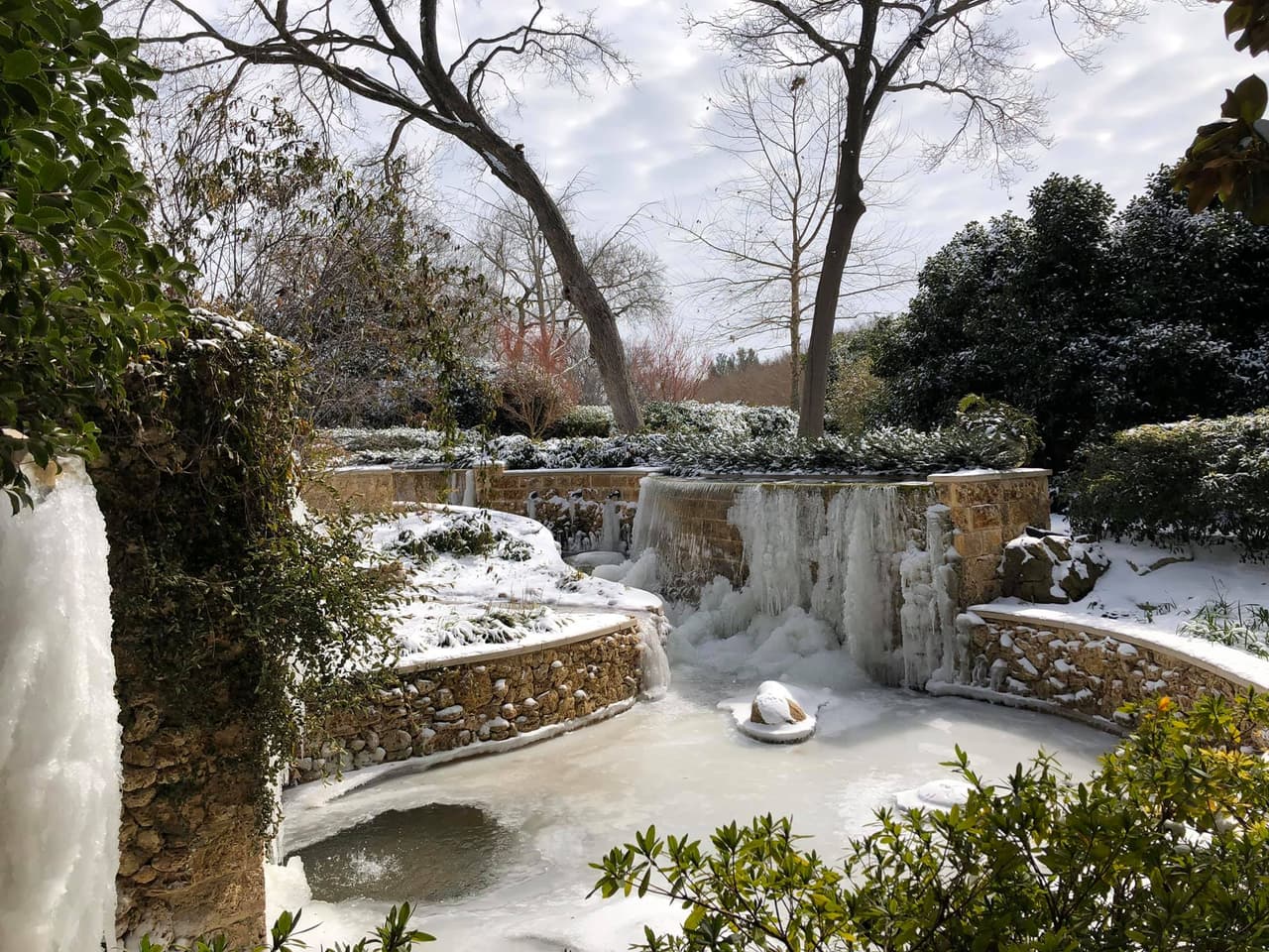 Varios lugares naturales del estado parecían postales, incluyendo el jardín botánico de Dallas.