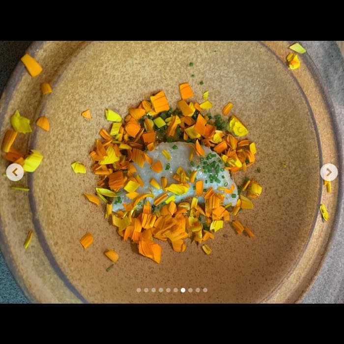 "Por algo Noma es considerado uno de los mejores restaurantes del mundo. Sí, las flores, con todos sus colores, también son para comerse. Y en las manos e imaginación de estos chefs son deliciosas", compartió en las imágenes de los platillos que saboreó.