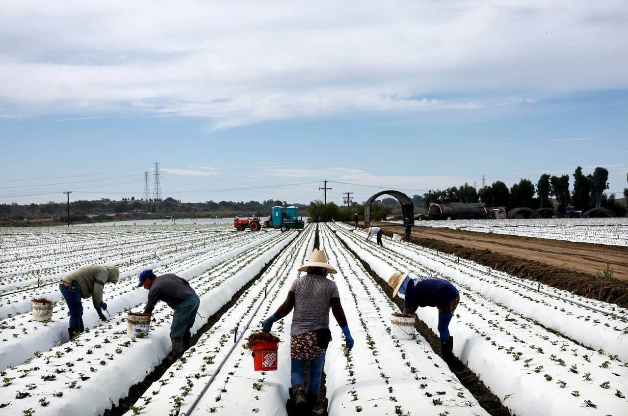¿Sabes dónde y cómo solicitar recursos para enfrentar la sequía que afecta a los campos de California?