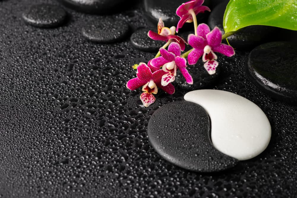 Como son un signo con una naturaleza dual, el símbolo oriental del Yin y el Yang son muy efectivos para reflejar la acción que un nativo de este signo debe tomar ante la inactividad o la indecisión en sus vidas.