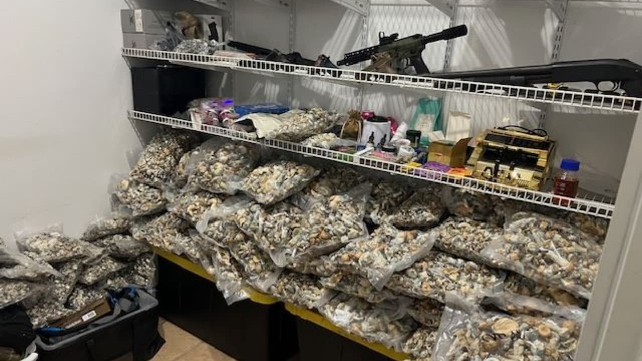 Un hombre arrestado y casi $3 millones en hongos ilegales decomisados, tras  envío erróneo de paquete
