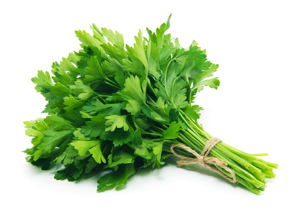 Otros elementos vegetales benéficos para un Capricornio son por ejemplo el perejil, así que puedes buscarte algunos rituales que lo utilicen como ingrediente básico para atraer pura cosa buena.