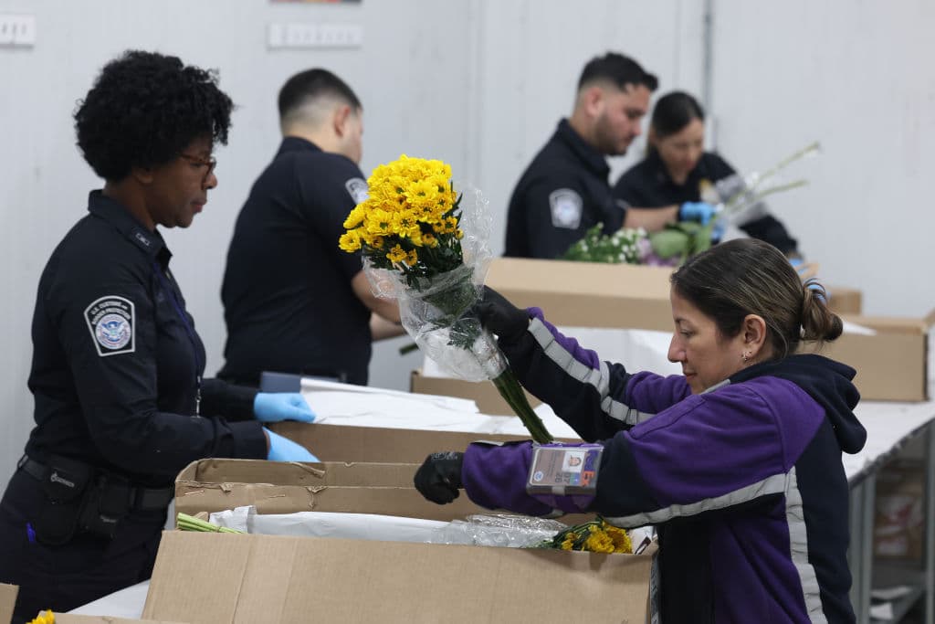 Hasta noviembre del año pasado, Estados Unidos había importado 1,140 millones de dólares en flores cortadas de Colombia, más de lo que importó en todo el año 2023, según el Departamento de Agricultura de Estados Unidos.