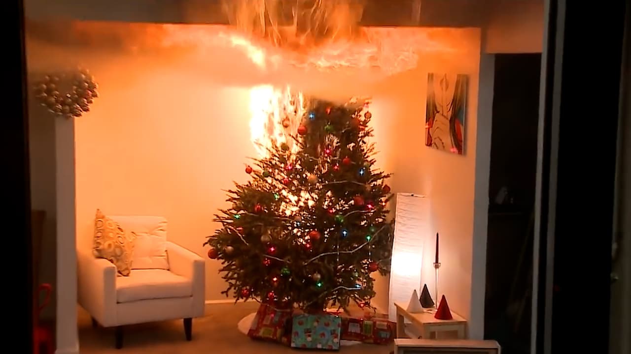<b>¡Ten mucha precaución!</b> Si la decoración navideña en tu hogar incluye un árbol natural debes tomar en cuenta estos consejos para prevenir una tragedia.