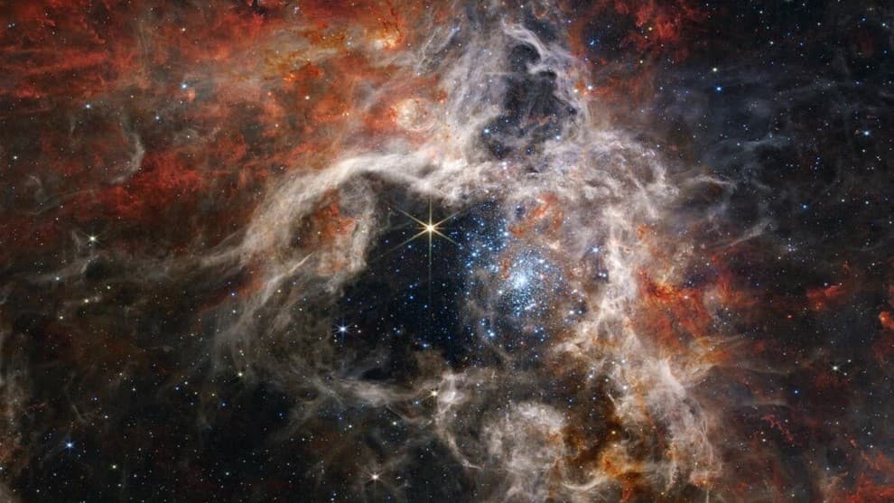 El telescopio James Webb de la NASA captó la impresionante imagen de una tarántula cósmica, que no es un arácnido real, sino una nebulosa en la galaxia de la Gran Nube de Magallanes, que es la región más grande y brillante en los alrededores de la Vía Láctea. 
<br>
<b>Entra ya a<a href="https://vix.com/es-es/canales?utm_medium=internal_referral&utm_source=univision&utm_campaign=evergreen&utm_content=ed_entertainment&utm_term=video"> ViX</a>, entretenimiento sin límites, con más de 100 canales, gratis y en español. </b>
