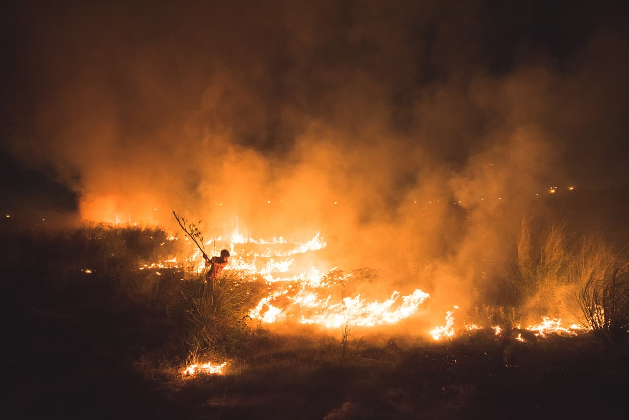 <b>‘Infierno’</b>
<br>
<br>“Se puede ver a un niño luchando contra un incendio que estalló cerca de su casa en Delhi, India”, explicó el premio sobre esta imagen que ganó en la categoría ‘fotógrafo joven del medio ambiente’.
<br>
<br>El concurso Fotógrafo Ambiental del Año es impulsado por la organización benéfica de gestión del agua CIWEM (ciwem.org) y por Waterbear, una plataforma de streaming gratuita dedicada a la conservación del planeta.
<br>