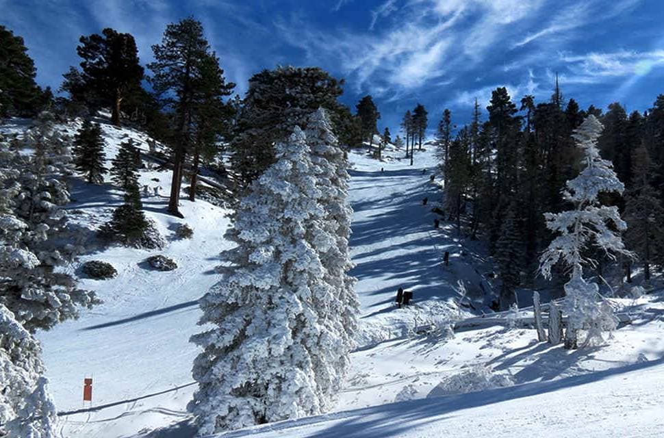 <b><a href="https://www.fs.usda.gov/recarea/sbnf/recarea/?recid=26227" target="_blank">Montaña de Big Bear </a></b>
<br>La cumbre de la montaña Big Bear se encuentra en las montañas de San Bernardino al sur de California. Esta montaña es un destino mundial para los amantes de los deportes de invierno.