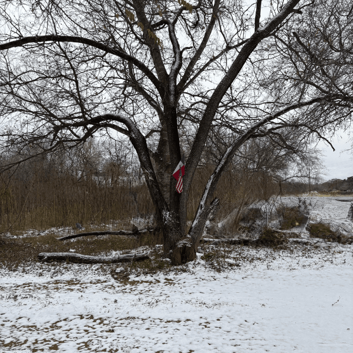 La tormenta invernal trajo una densa capa de nieve que cubrió la ciudad y varias zonas del centro de Texas. 
<br>
<br>Usuarios de Univision enviaron las imágenes de cómo vivieron la primer nevada del 2025.