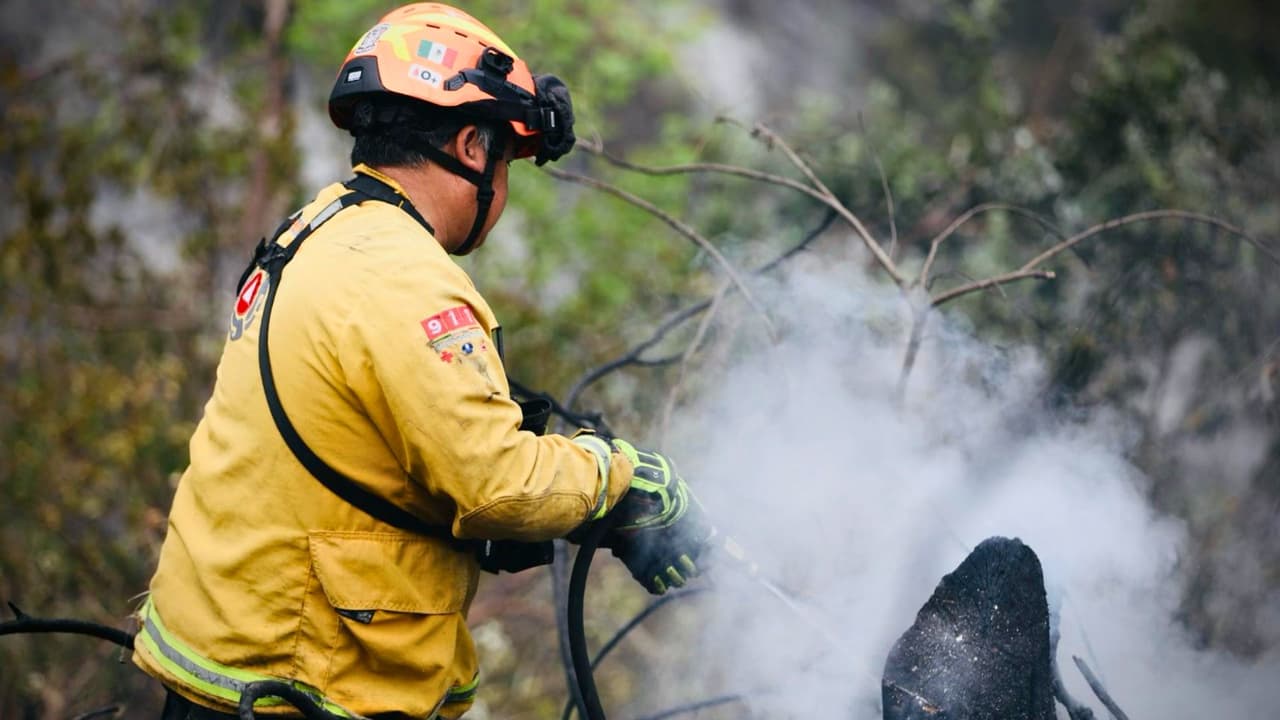 El accidente
<b> ocurrió en la carretera que conduce a la Cola de Caballo</b>, un destino popular entre visitantes por sus 
<b>paisajes y cascadas</b>. De acuerdo con Protección Civil de Nuevo León, el conductor del vehículo
<b> perdió el control en una curva, lo que provocó que cayera unos 100 metros (328 pies) montaña abajo.</b> El impacto fue seguido de
<b> un incendio</b>.
