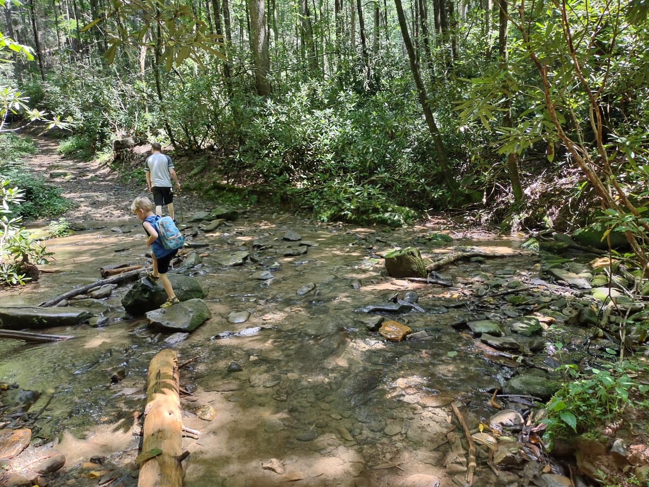 <b>Bear Creek Trail (Ellijay)</b>
<br>
<b>Sitio web</b>: 
<a href="https://www.fs.usda.gov/recarea/conf/recarea/?recid=10473">https://www.fs.usda.gov/recarea/conf/recarea/?recid=10473</a> 
<br>
<a href="https://goo.gl/maps/NFbMb12Y8RsBERVv5"><b>Cómo llegar</b></a>
<b> </b>
<br>
<br>Camina por este valle de arroyo cubierto de musgo, sombreado y lleno de helechos para disfrutar del frescor del verano entre Ellijay y Blue Ridge. Ubicado en las montañas del norte de Georgia, entre dos crestas imponentes, el sendero Bear Creek sigue un arroyo sombreado hasta un enorme árbol viejo, cruzando múltiples arroyos a lo largo del camino. El fondo de Bear Creek puede ser resbaladizo, pero el arroyo generalmente es poco profundo, lo que lo convierte en una excelente caminata de verano para excursionistas principiantes y familias con niños.